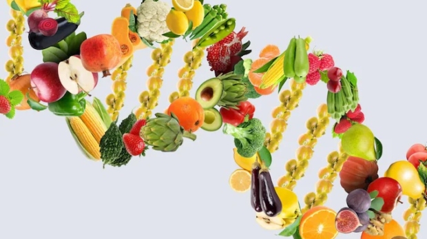 DNA-could-tell-us-what-to-eat-for-maximum-health